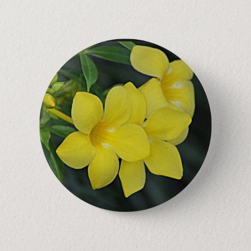 Yellow Jessamine South Carolina Pinback Button