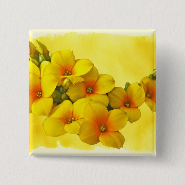 Yellow Kalanchoe - Succulent Sunshine Pinback Button (Front)