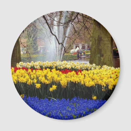 yellow Keukenhof gardens Amsterdam Netherlands f Magnet