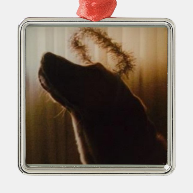 Yellow Lab Angel Ornament by Willowcatdesigns (Front)