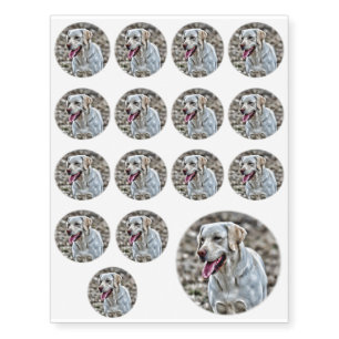 Yellow Lab Artwork Temporary Tattoos