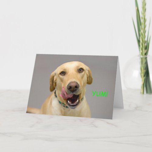 Yellow Lab Birthday Card by Focus for a Cause