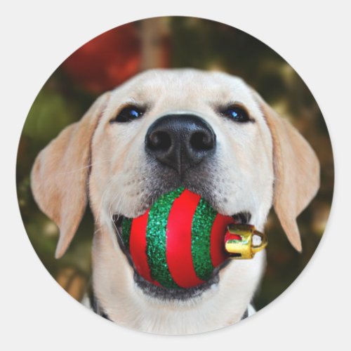 Yellow lab Christmas ball Classic Round Sticker