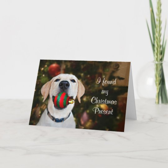 Yellow lab Christmas ball Holiday Card | Zazzle.com