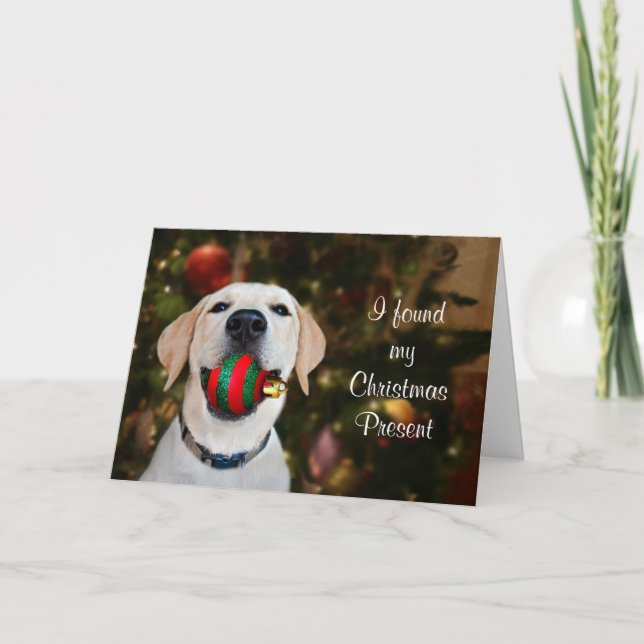 Yellow lab Christmas ball Holiday Card (Front)