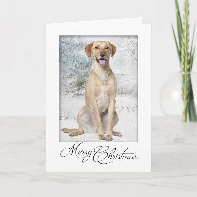 Yellow Lab Christmas Card (Front)