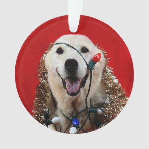 Yellow lab Christmas Ornament