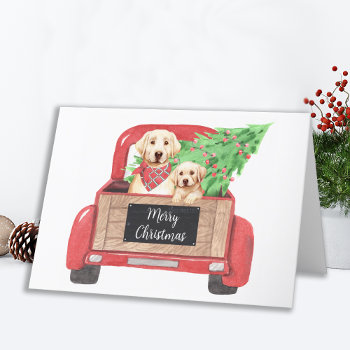 Yellow Lab Dog Puppy Vintage Red Truck Christmas Holiday Card by BlackDogArtJudy at Zazzle