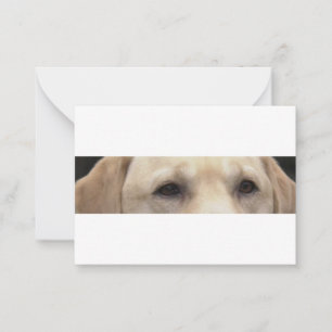 yellow lab eyes note card