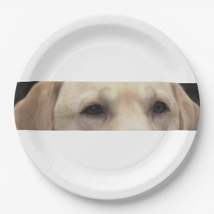 yellow lab eyes paper plates