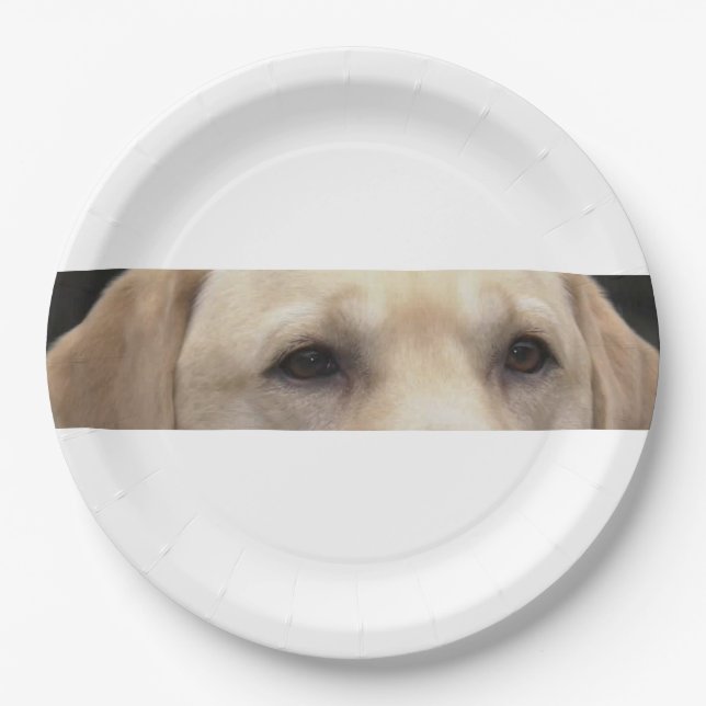 yellow lab eyes paper plates (Front)