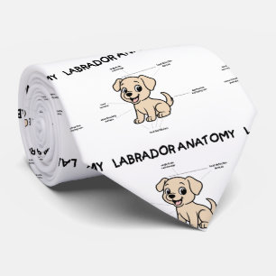 Yellow Lab Funny Cartoon Anatomy Neck Tie