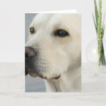 Yellow Lab Greeting Card