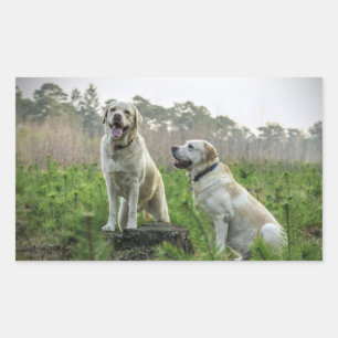 Yellow Lab Group Rectangular Sticker