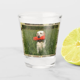 Yellow Lab Hunting Dog With Camo Trim Shot Glass