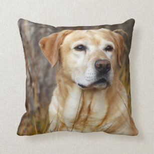 yellow lab throw pillows