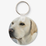 Yellow Lab  Keychain