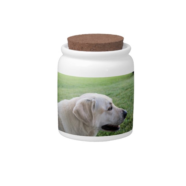 Yellow Lab/Labrador Retriever Cookie/Candy Jar (Front)