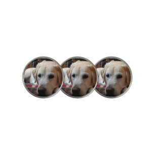 Yellow Lab Laying Golf Ball Marker
