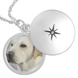 Yellow Lab Locket