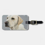 Yellow Lab Luggage Tag