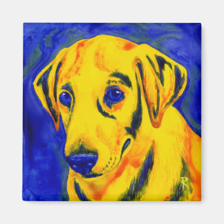 Yellow Lab Magnet - "Archie"