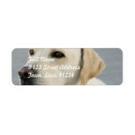Yellow Lab  Mailing Labels