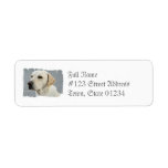 Yellow Lab  Mailing Labels