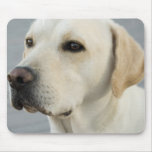 Yellow Lab Mouse Pad at Zazzle