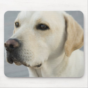 Yellow Lab Mouse Pad