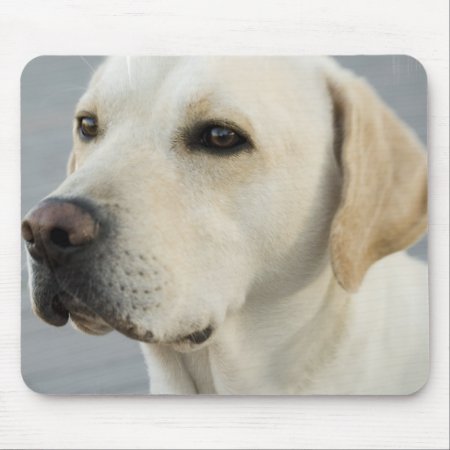 Yellow Lab Mouse Pad