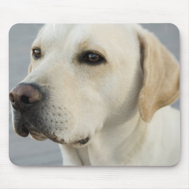Yellow Lab Mouse Pad (Front)