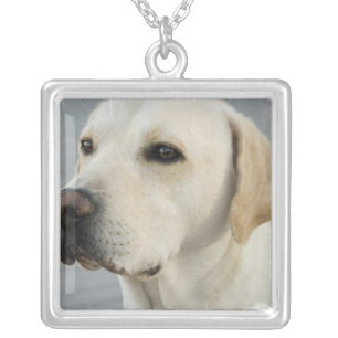 Yellow Lab Necklace