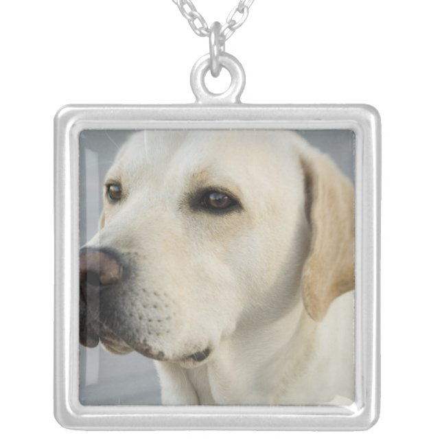 Yellow Lab  Necklace (Front)