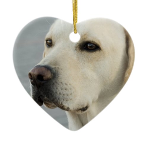 Yellow Lab  Ornament
