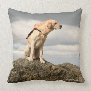 yellow lab pillow