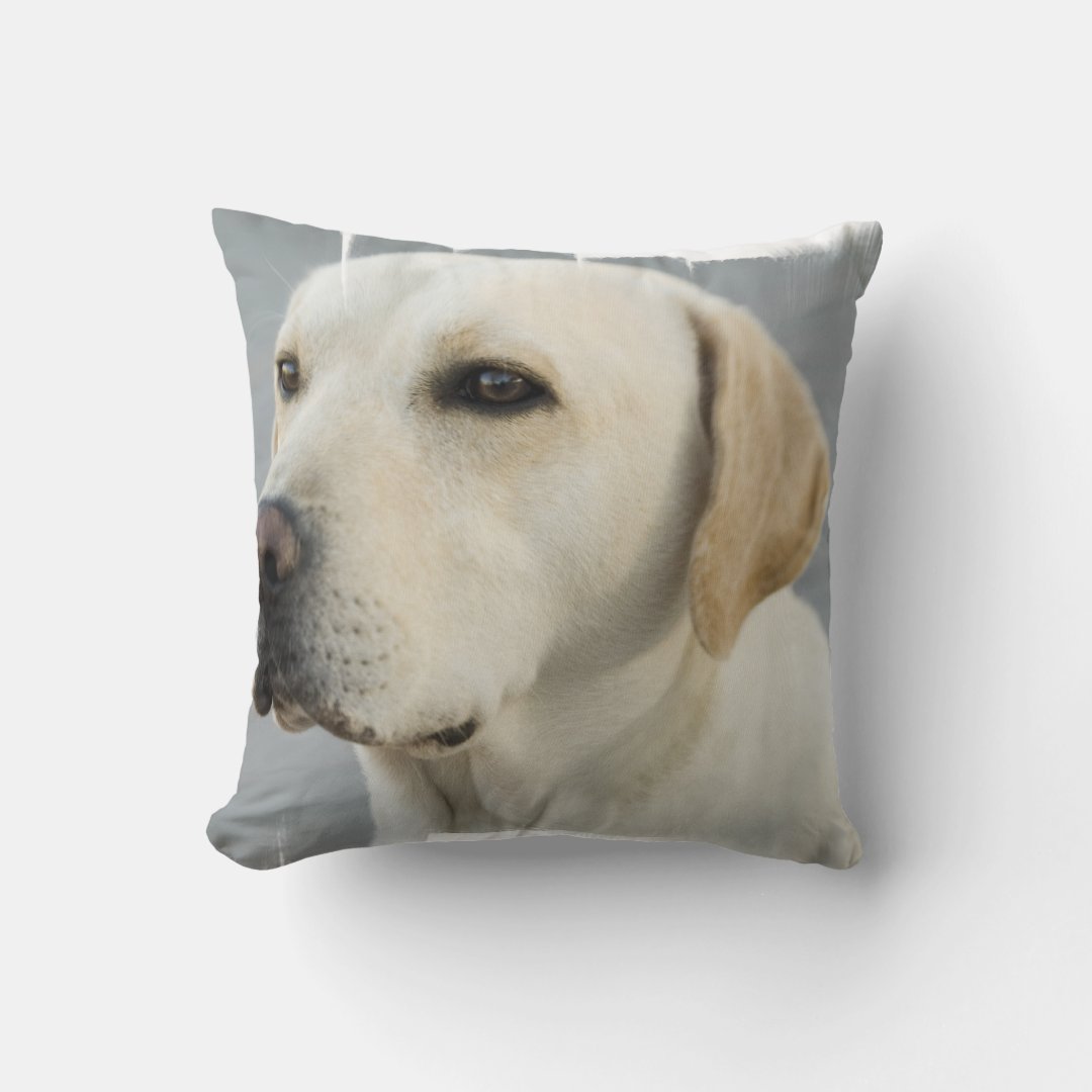 Yellow Lab Pillow Zazzle