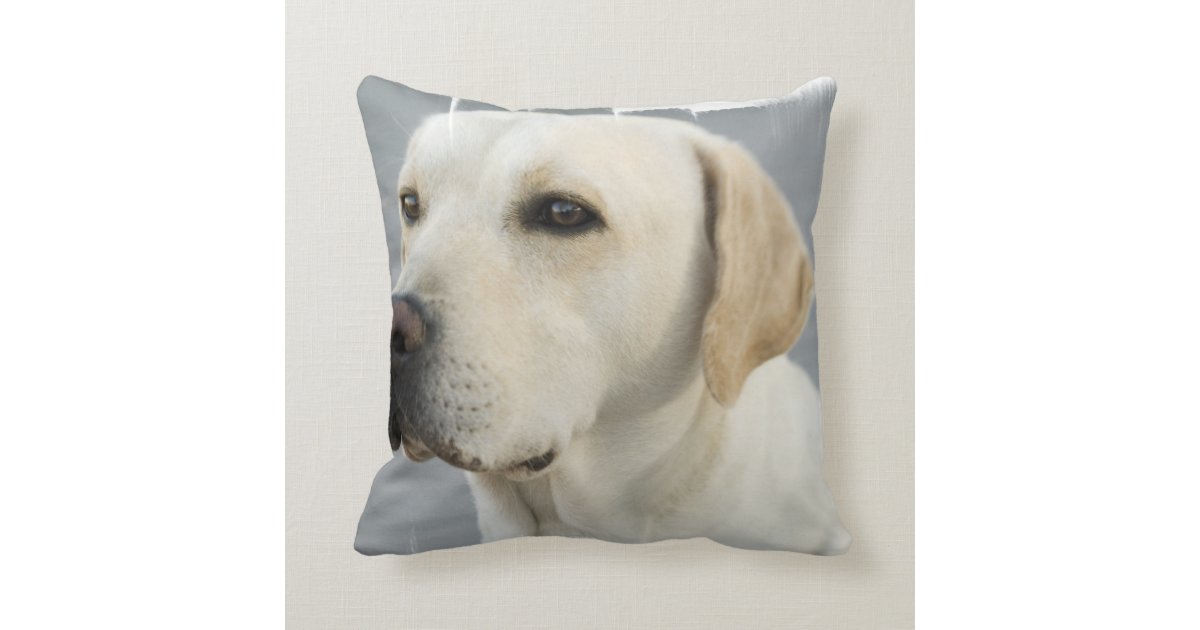 yellow lab body pillow