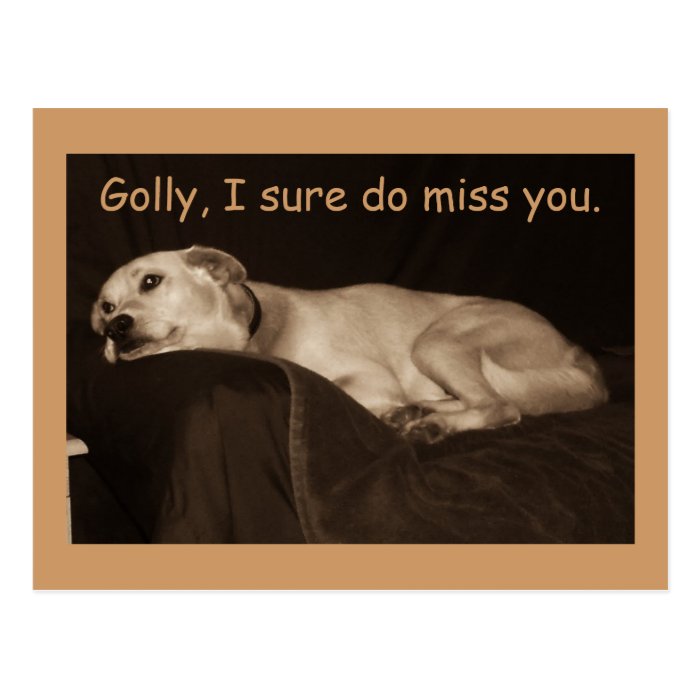 Yellow Lab Pit Husky Golly I Sure Do Miss You Post Card