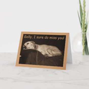 Yellow Lab Pit Husky  I Miss You Card by PetiteFrite at Zazzle