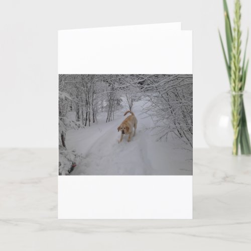 Yellow Lab Playing in Fresh Winter Snow Holiday Card