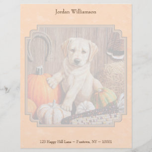 Yellow Lab Pup and Pumpkin Harvest Orange Letterhead
