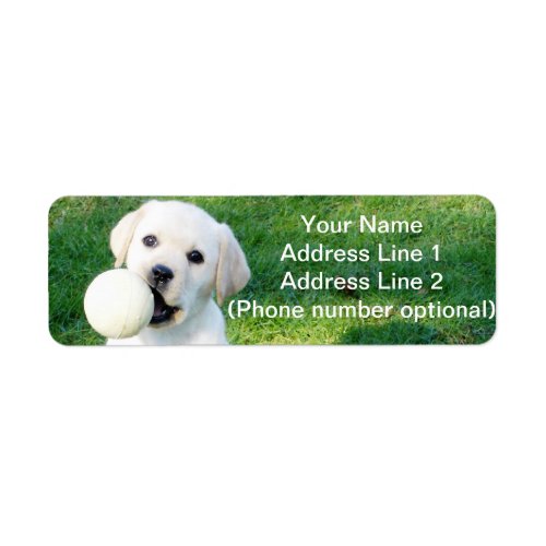 Yellow Lab pup Label