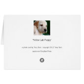 Yellow Lab Puppy Cards (Back Horizontal)