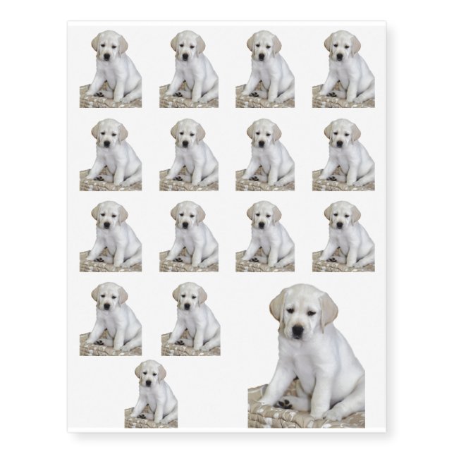Yellow Lab Puppy Love Temporary Tattoos (Front)