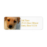 Yellow Lab Puppy Mailing Label