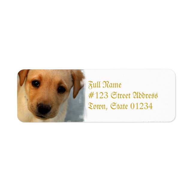 Yellow Lab Puppy Mailing Label (Front)