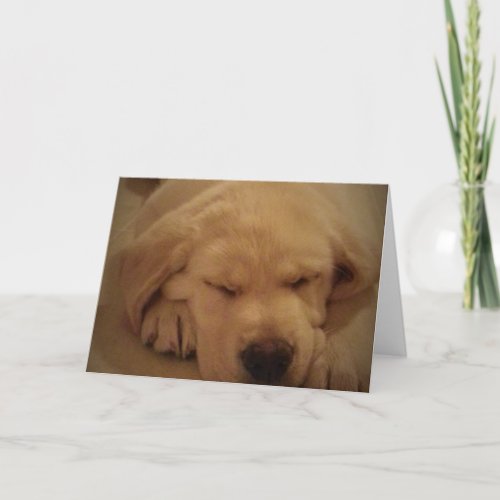 Yellow Lab Puppy Sleeping Card