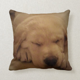 Yellow Lab Puppy Sleeping Throw Pillow