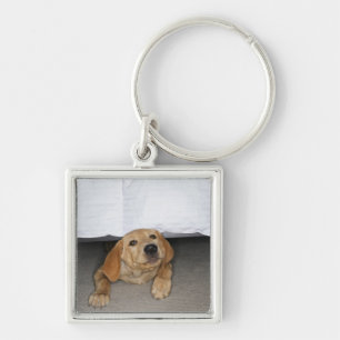 Yellow lab puppy stuck under bed keychain